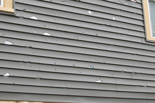 Best Siding for New Construction  in Norfolk, VA