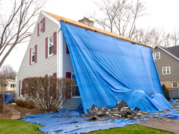 Best Brick Veneer Siding  in Norfolk, VA