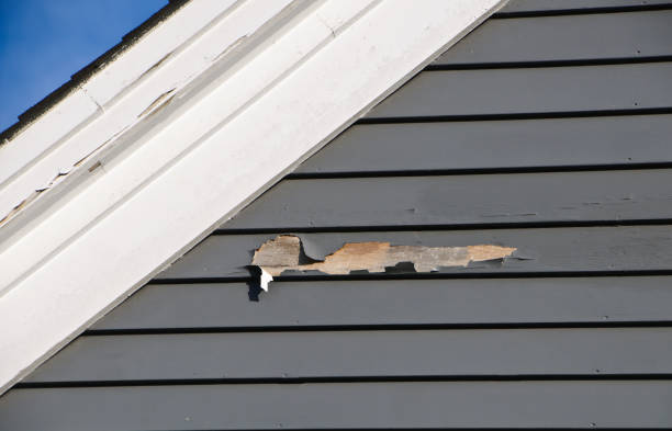 Best Storm Damage Siding Repair  in Norfolk, VA